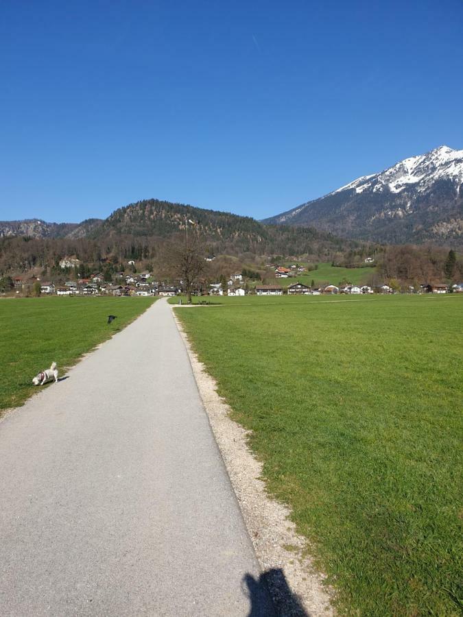 Birke 1 Lejlighed Bad Reichenhall Eksteriør billede